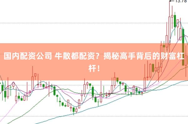 国内配资公司 牛散都配资？揭秘高手背后的财富杠杆！
