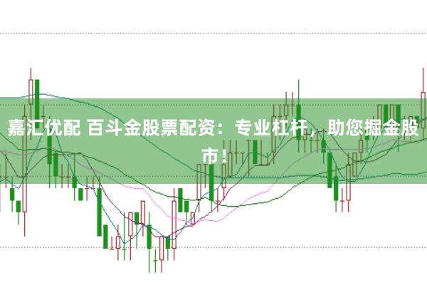 嘉汇优配 百斗金股票配资：专业杠杆，助您掘金股市！
