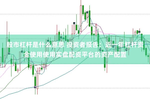 股市杠杆是什么意思 投资者报告：近一年杠杆资金使用使用实盘配资平台的资产配置
