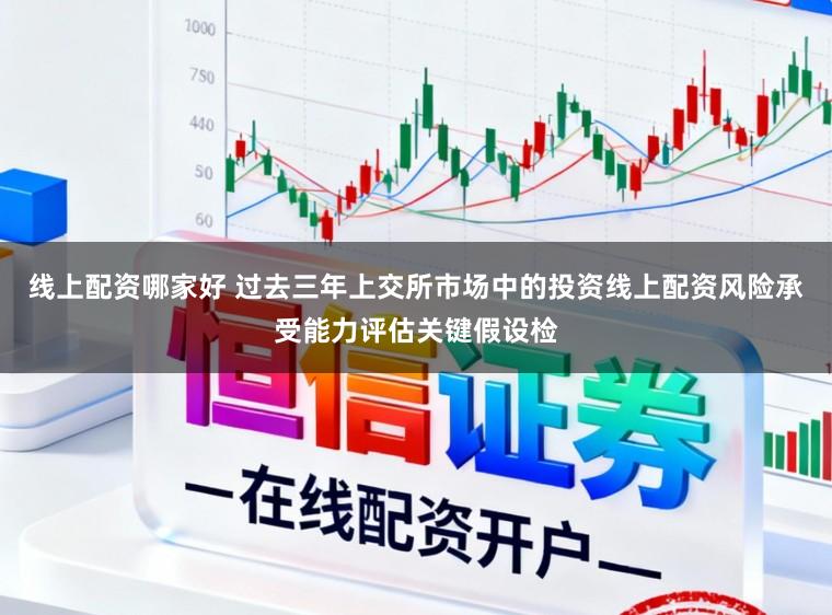 线上配资哪家好 过去三年上交所市场中的投资线上配资风险承受能力评估关键假设检