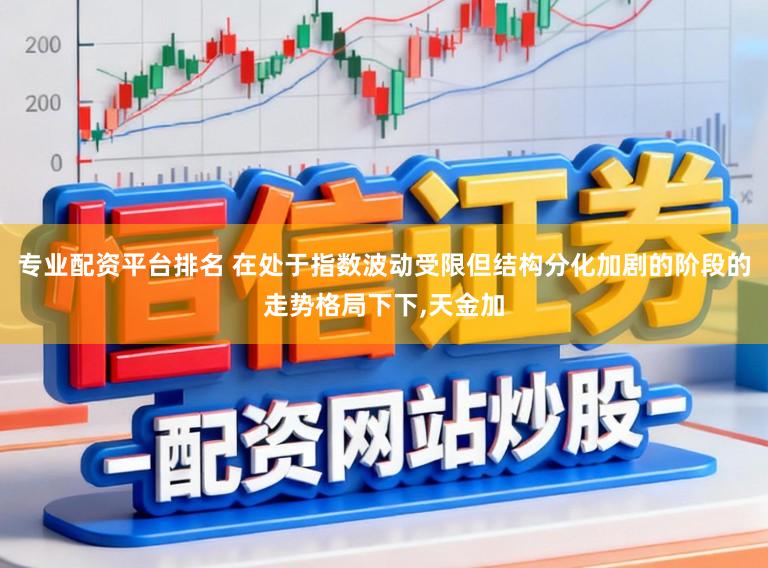 专业配资平台排名 在处于指数波动受限但结构分化加剧的阶段的走势格局下下,天金加